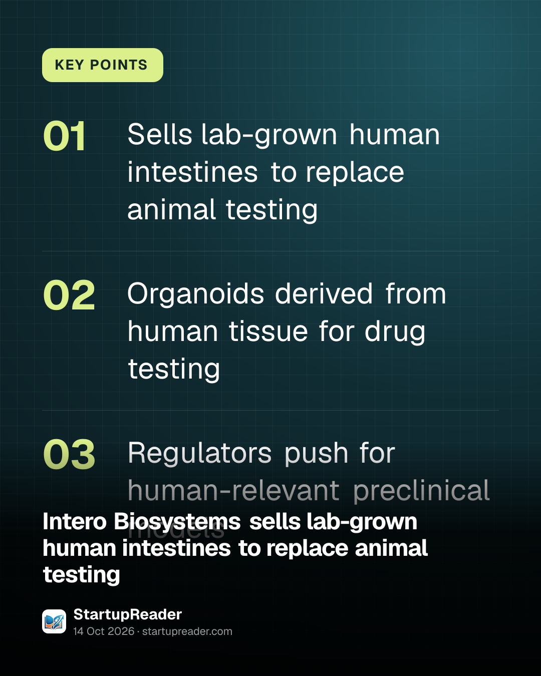KEY POINTS. Sells lab-grown human intestines to replace animal testing; Organoids derived from human tissue for drug testing; Regulators push for human-relevant preclinical models.
